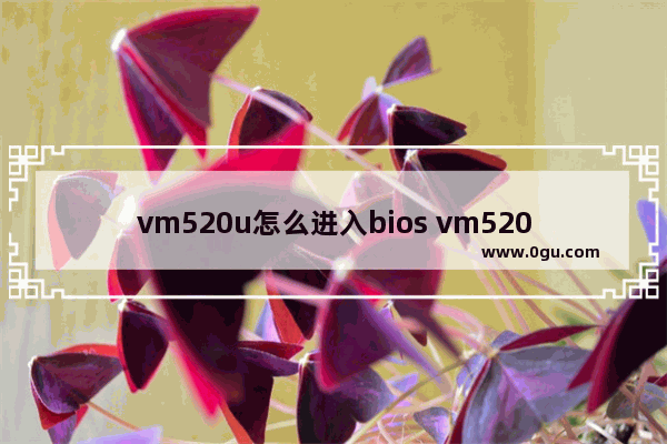 vm520u怎么进入bios vm520u u盘启动
