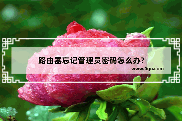 路由器忘记管理员密码怎么办?