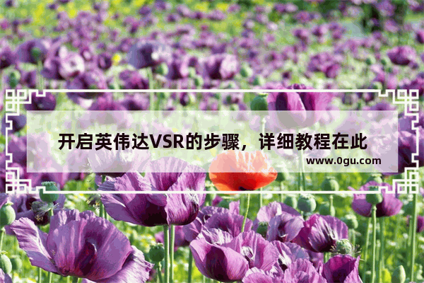 开启英伟达VSR的步骤，详细教程在此