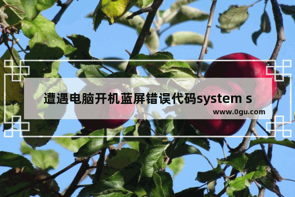 遭遇电脑开机蓝屏错误代码system service exception，怎么办？