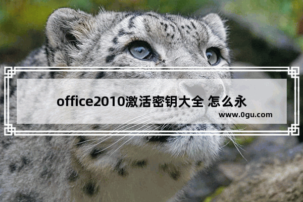 office2010激活密钥大全 怎么永久激活office2010