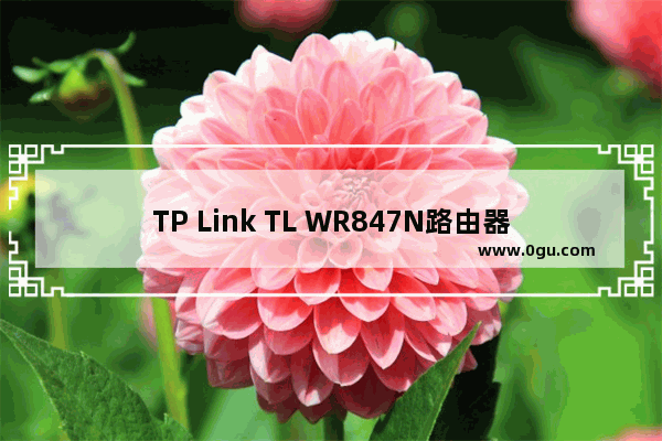 TP Link TL WR847N路由器管理员密码是多少?