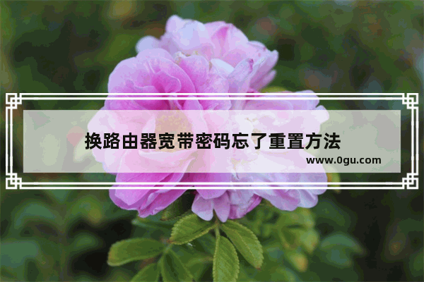 换路由器宽带密码忘了重置方法