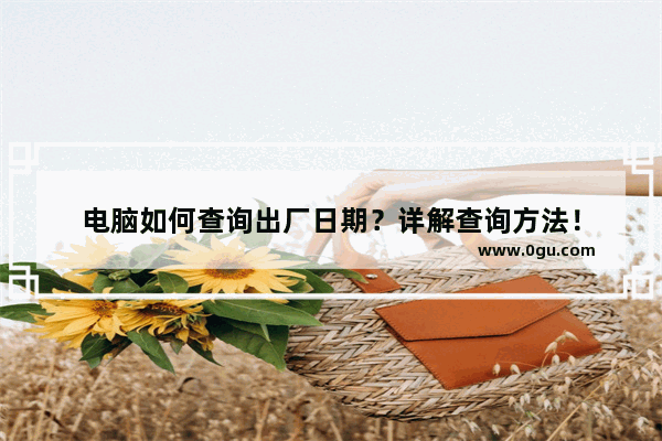 电脑如何查询出厂日期？详解查询方法！