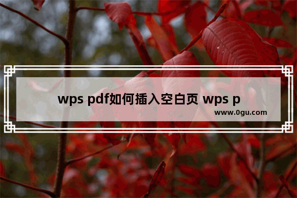 wps pdf如何插入空白页 wps pdf插入空白页的方法