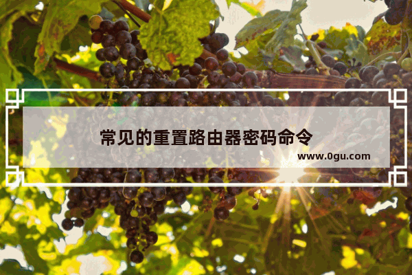 常见的重置路由器密码命令