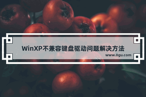 WinXP不兼容键盘驱动问题解决方法