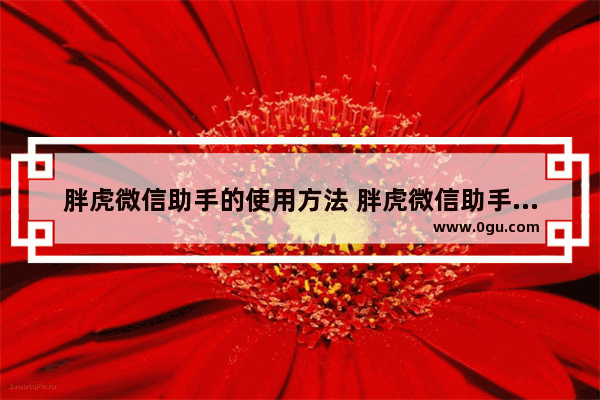 胖虎微信助手的使用方法 胖虎微信助手怎么清理删除的好友
