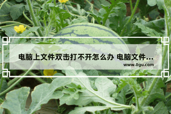 电脑上文件双击打不开怎么办 电脑文件夹双击无法打开