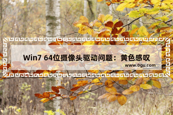 Win7 64位摄像头驱动问题：黄色感叹号导致无法使用的解决方案