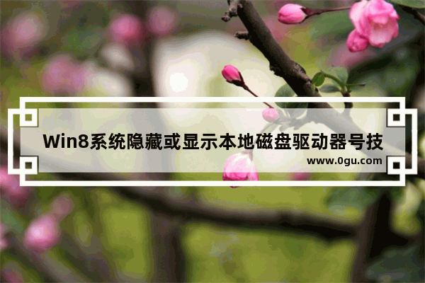 Win8系统隐藏或显示本地磁盘驱动器号技巧