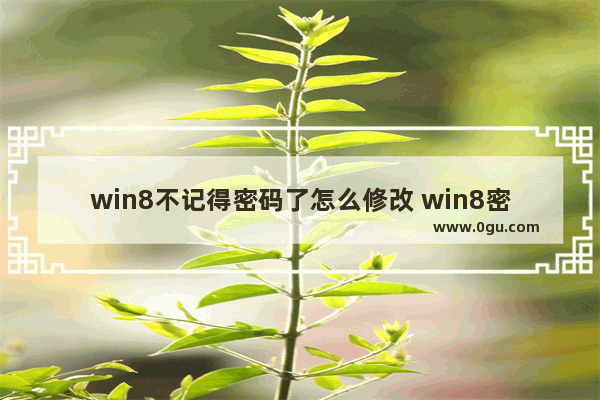 win8不记得密码了怎么修改 win8密码忘了怎么办最简单的方法