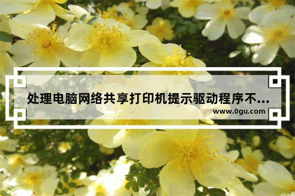 处理电脑网络共享打印机提示驱动程序不正确问题
