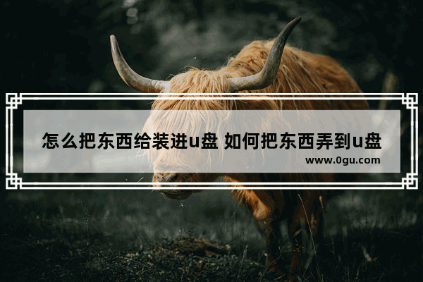 怎么把东西给装进u盘 如何把东西弄到u盘里