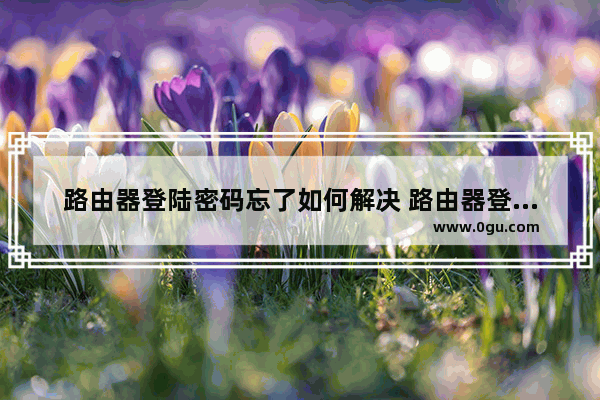 路由器登陆密码忘了如何解决 路由器登陆密码忘了解决方法【详解】