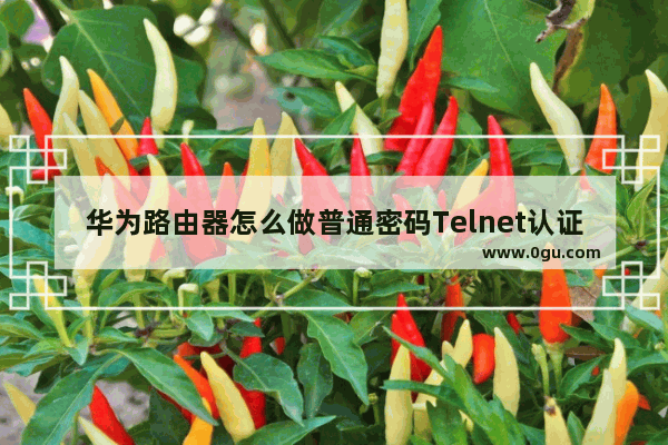 华为路由器怎么做普通密码Telnet认证