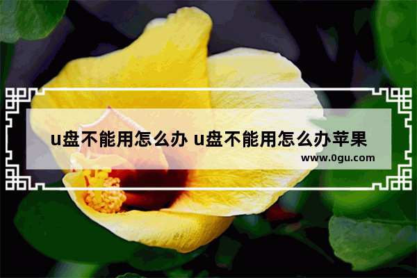 u盘不能用怎么办 u盘不能用怎么办苹果