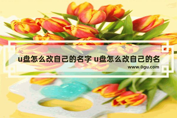 u盘怎么改自己的名字 u盘怎么改自己的名字和密码