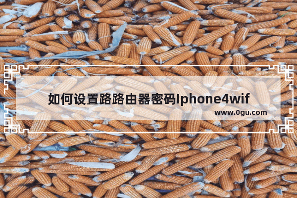 如何设置路路由器密码Iphone4wifi上网问题