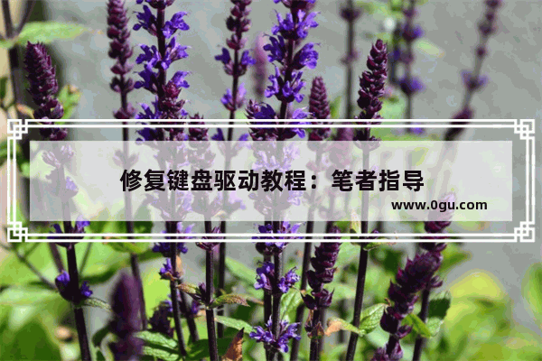 修复键盘驱动教程：笔者指导