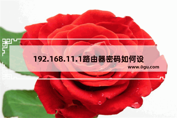 192.168.11.1路由器密码如何设置？
