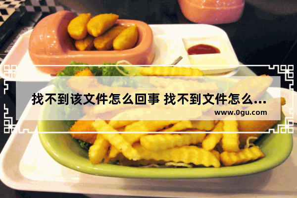 找不到该文件怎么回事 找不到文件怎么回事儿