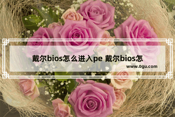 戴尔bios怎么进入pe 戴尔bios怎么进入config