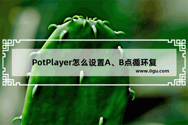 PotPlayer怎么设置A、B点循环复读播放 PotPlayer设置A、B点循环复读播放的方法