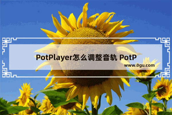 PotPlayer怎么调整音轨 PotPlayer调整音轨的方法