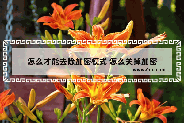 怎么才能去除加密模式 怎么关掉加密