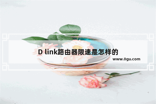 D link路由器限速是怎样的