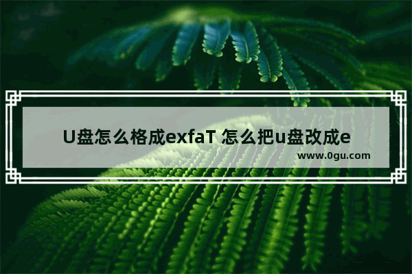 U盘怎么格成exfaT 怎么把u盘改成exfat