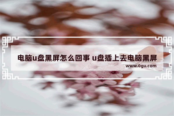电脑u盘黑屏怎么回事 u盘插上去电脑黑屏