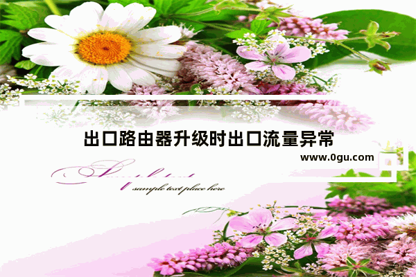 出口路由器升级时出口流量异常