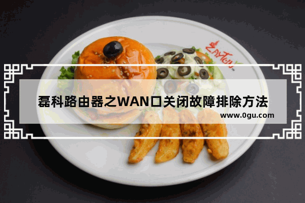 磊科路由器之WAN口关闭故障排除方法