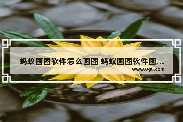 蚂蚁画图软件怎么画图 蚂蚁画图软件画图的方法