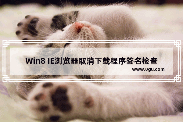 Win8 IE浏览器取消下载程序签名检查的方法