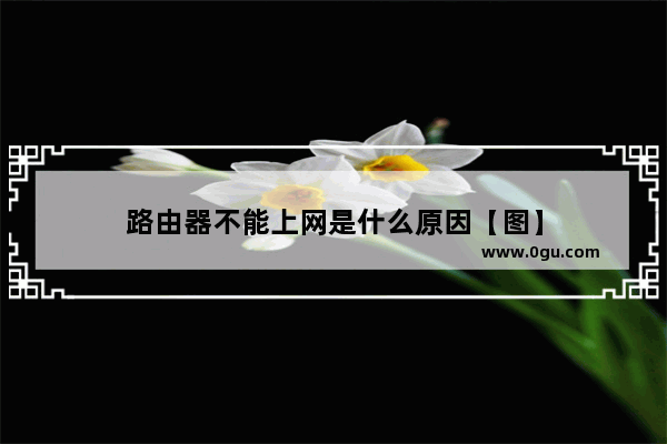 路由器不能上网是什么原因【图】