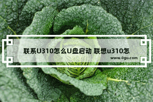 联系U310怎么U盘启动 联想u310怎么进入bios