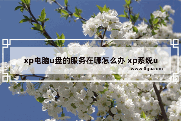xp电脑u盘的服务在哪怎么办 xp系统u盘打不开怎么办