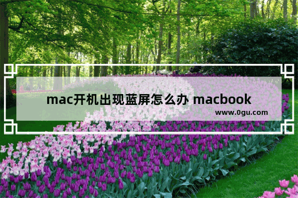 mac开机出现蓝屏怎么办 macbook出现蓝屏如何重新启动