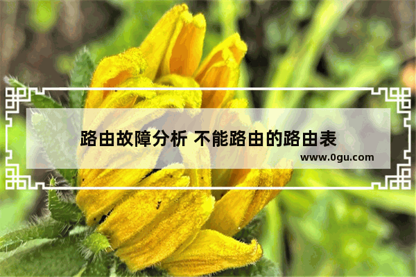 路由故障分析 不能路由的路由表