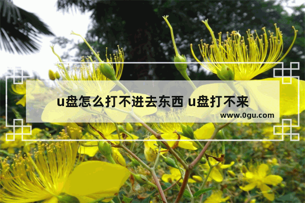 u盘怎么打不进去东西 u盘打不来