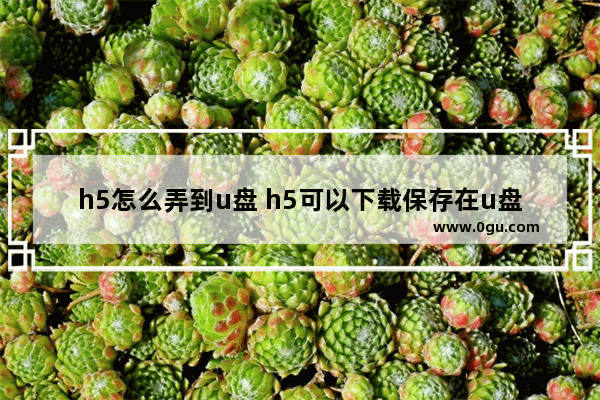 h5怎么弄到u盘 h5可以下载保存在u盘吗