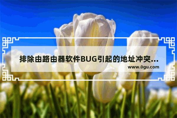 排除由路由器软件BUG引起的地址冲突故障
