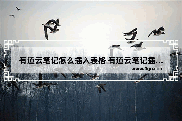 有道云笔记怎么插入表格 有道云笔记插入表格的方法