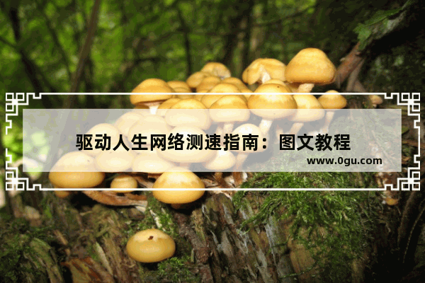 驱动人生网络测速指南：图文教程