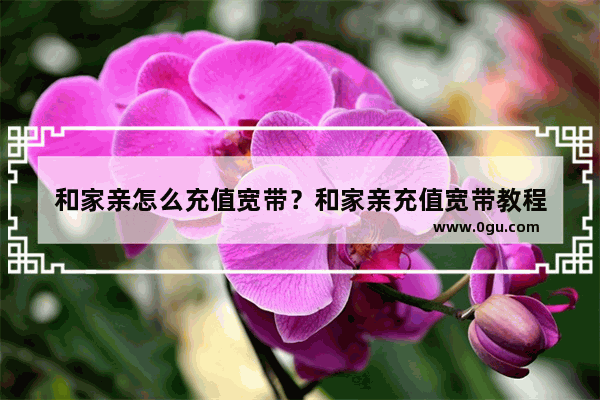 和家亲怎么充值宽带？和家亲充值宽带教程