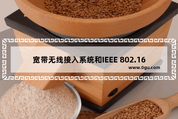 宽带无线接入系统和IEEE 802.16.1标准
