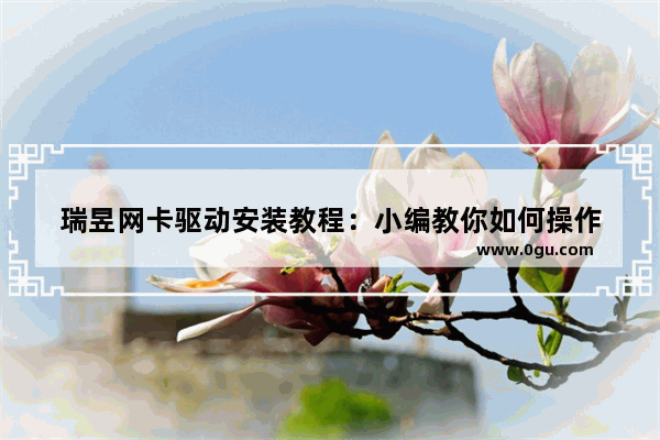 瑞昱网卡驱动安装教程：小编教你如何操作
